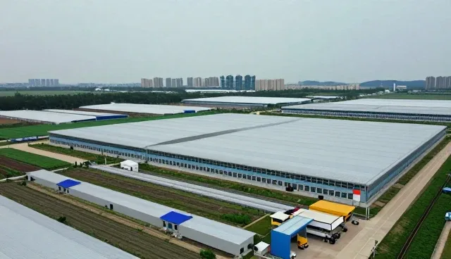 为什么越来越多农产品收购选择种苗供应