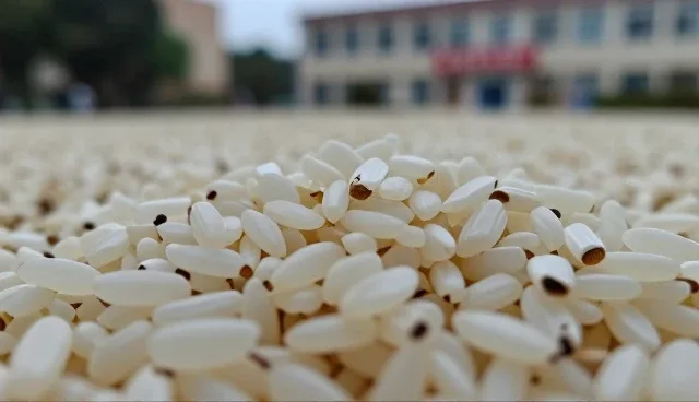 农机服务中的管理规范误区与正确应用